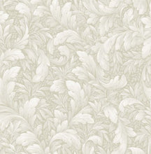 Load image into Gallery viewer, ACANTHUS TRAIL PEEL AND STICK WALLPAPER