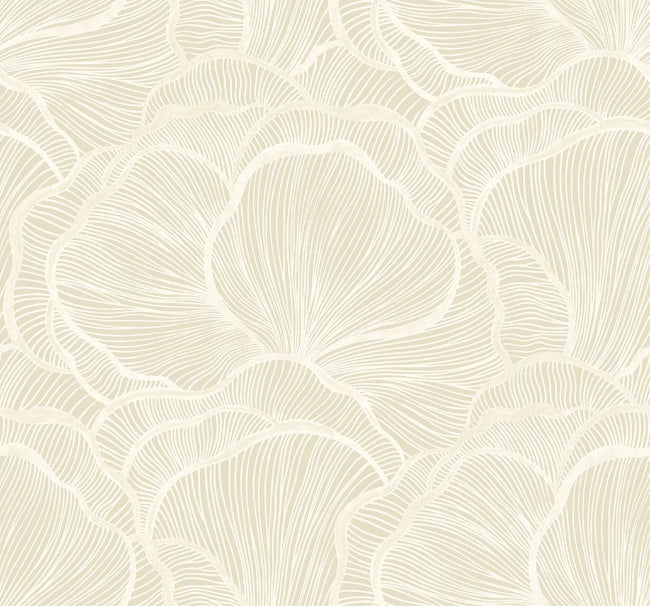 DENALI WALLPAPER