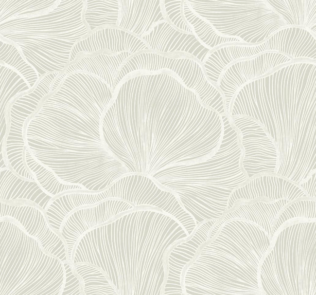 DENALI WALLPAPER