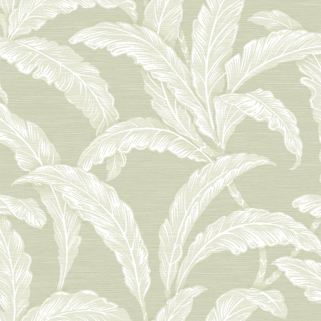 AVALON WALLPAPER