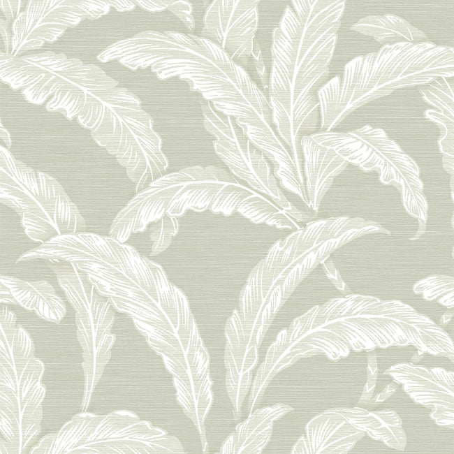 AVALON WALLPAPER