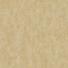 Load image into Gallery viewer, Shimmering Patina