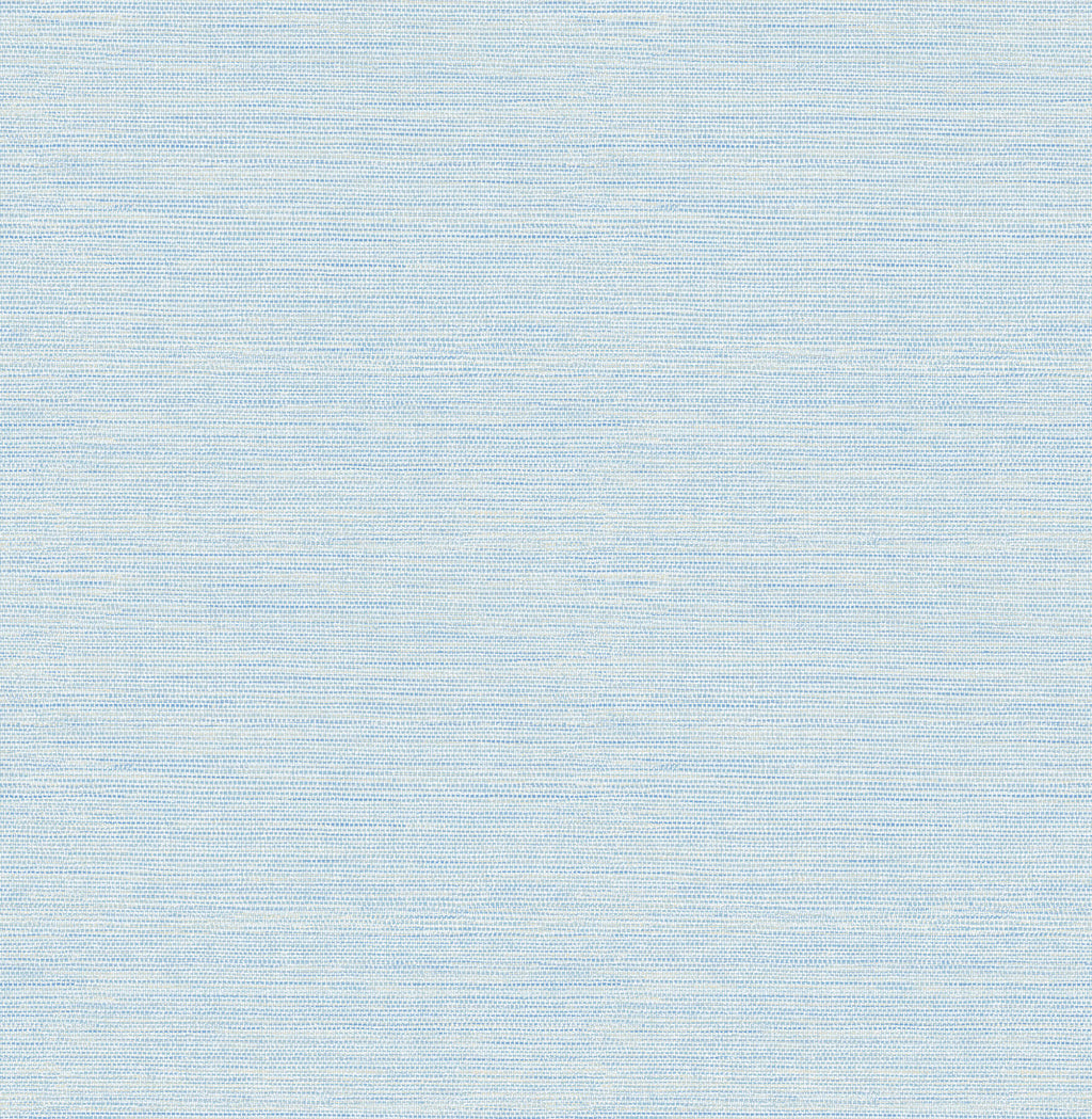 Agave Sky Blue wallpaper detail – 4169-24283