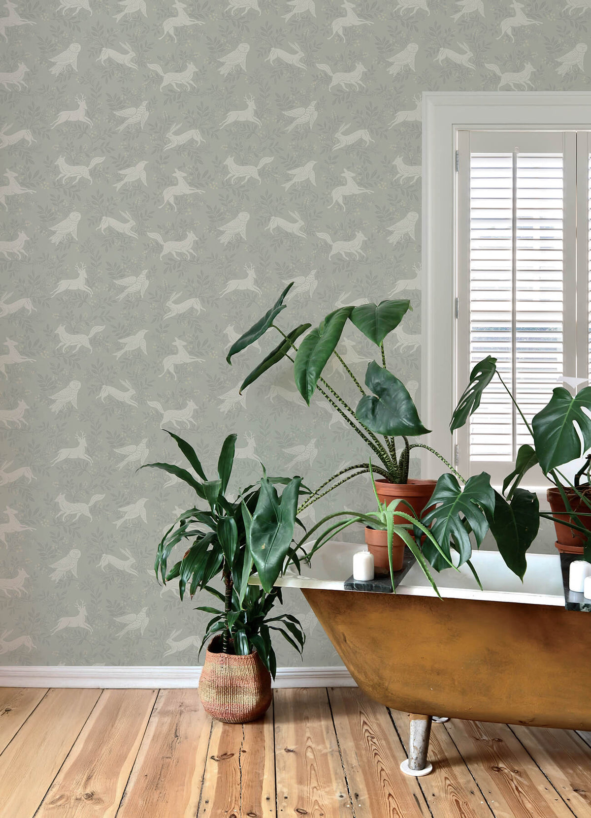 Revelry Sage wallpaper lifestyle – 4169-83115