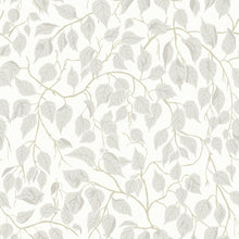 Load image into Gallery viewer, Hängbjörk