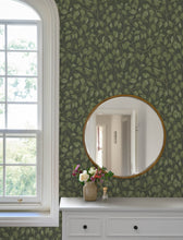 Load image into Gallery viewer, Hängbjörk