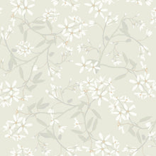 Load image into Gallery viewer, Paradis