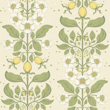 Load image into Gallery viewer, Rosa