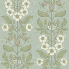 Load image into Gallery viewer, Rosa