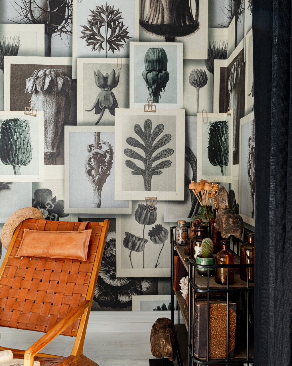 BLOSSFELDT'S ART FORMS WALLPAPER