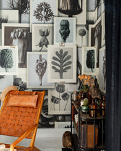 Load image into Gallery viewer, BLOSSFELDT'S ART FORMS WALLPAPER
