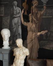 Load image into Gallery viewer, STATUARY CHAMBER WALLPAPER