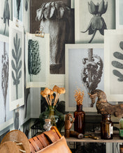Load image into Gallery viewer, BLOSSFELDT'S ART FORMS WALLPAPER