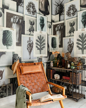Load image into Gallery viewer, BLOSSFELDT'S ART FORMS WALLPAPER