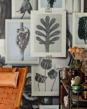Load image into Gallery viewer, BLOSSFELDT'S ART FORMS WALLPAPER