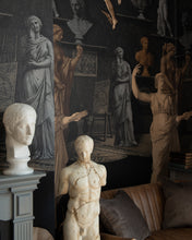 Load image into Gallery viewer, STATUARY CHAMBER WALLPAPER