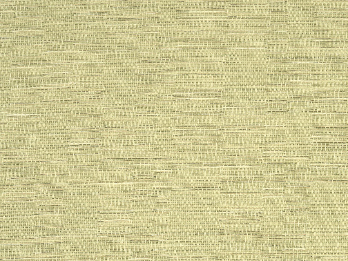 Sofia wallpaper in Citrus