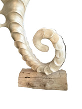 Load image into Gallery viewer, rafia seahorse