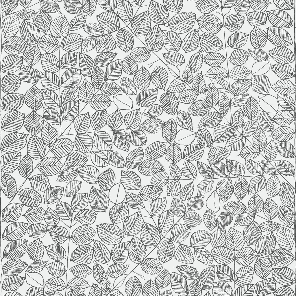 Romans Wallpaper - Black