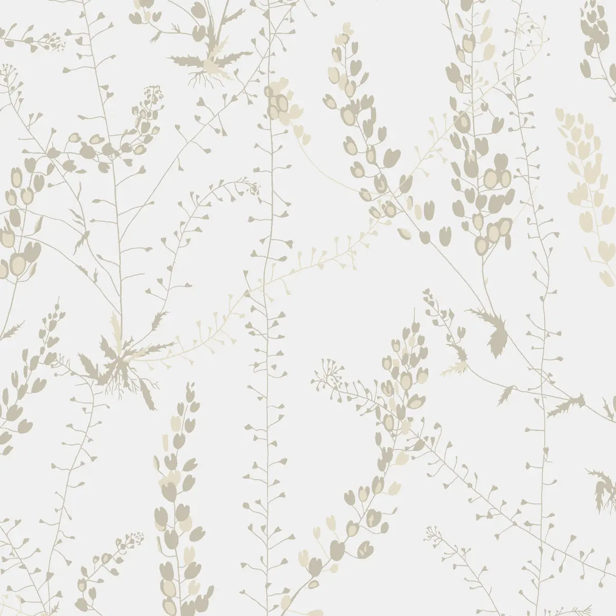 Bladranker Wallpaper