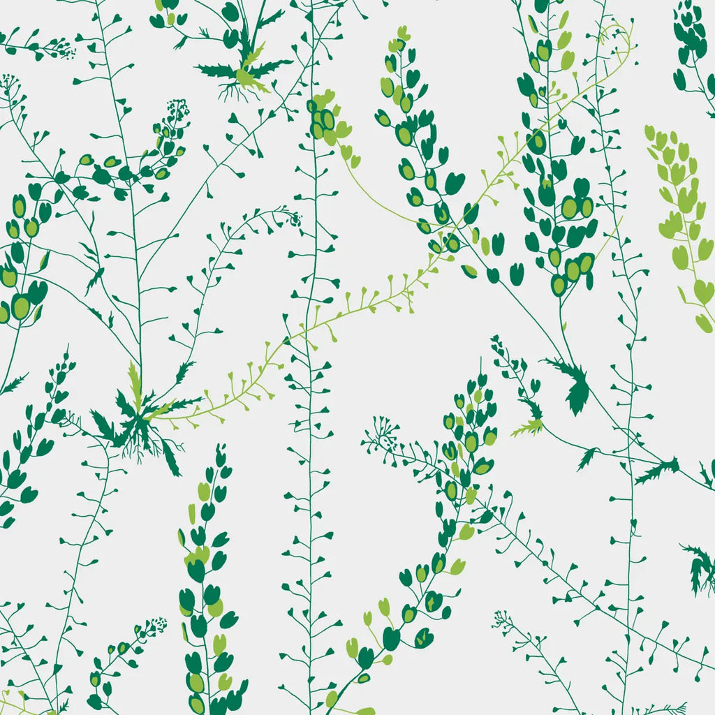Bladranker Wallpaper - Leaf