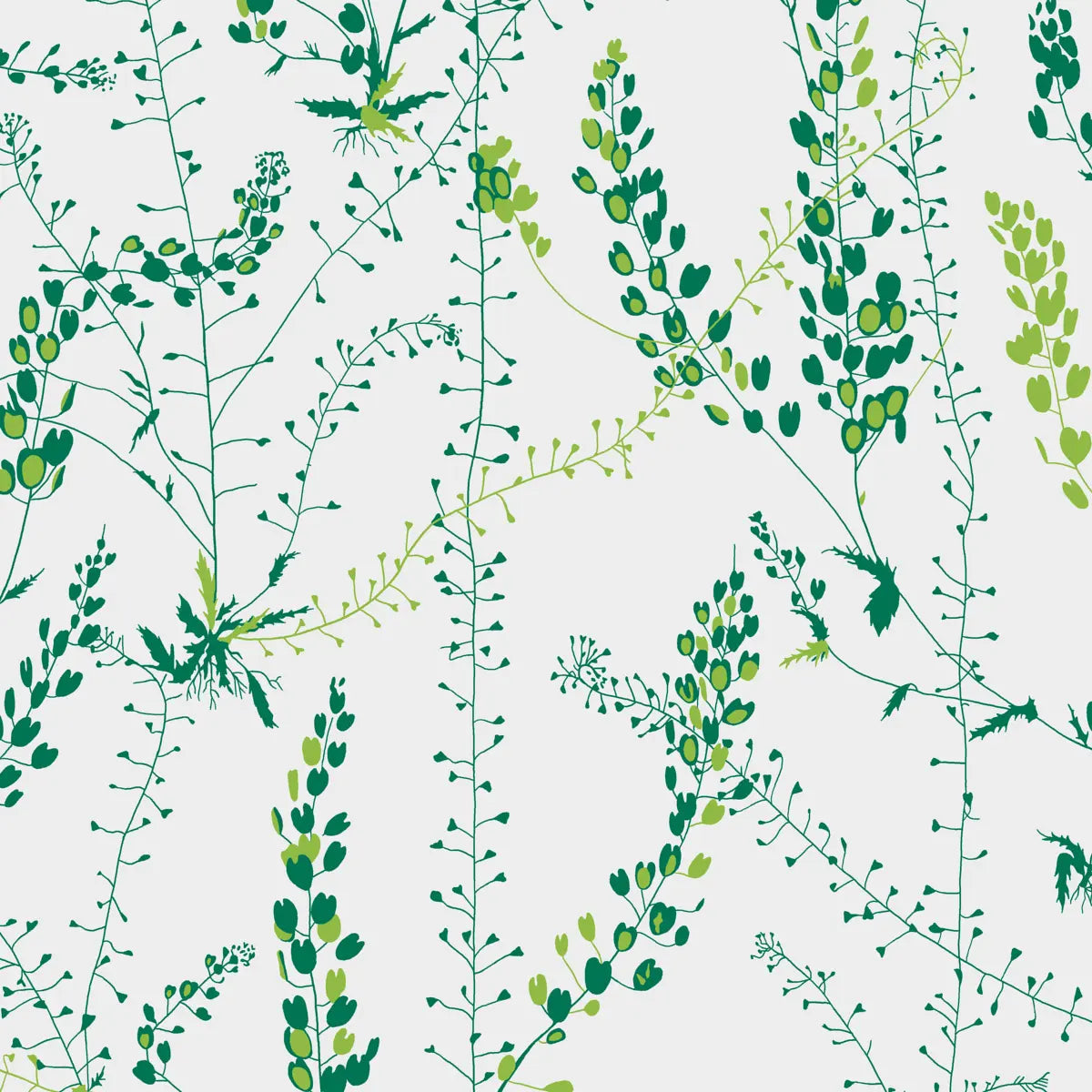 Bladranker Wallpaper - Leaf