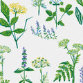 Köksväxter Wallpaper