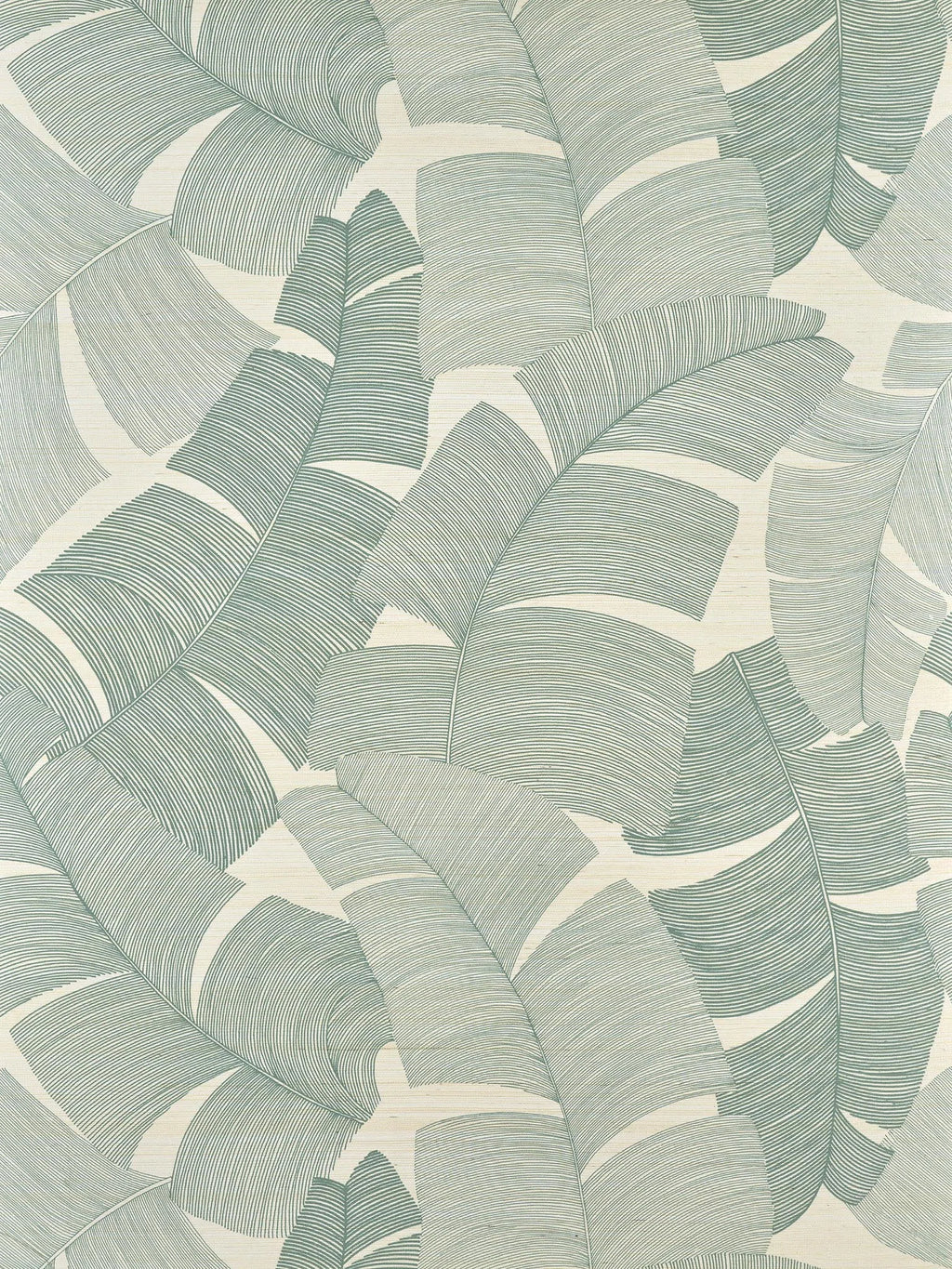 Tikehau wallpaper in Aqua
