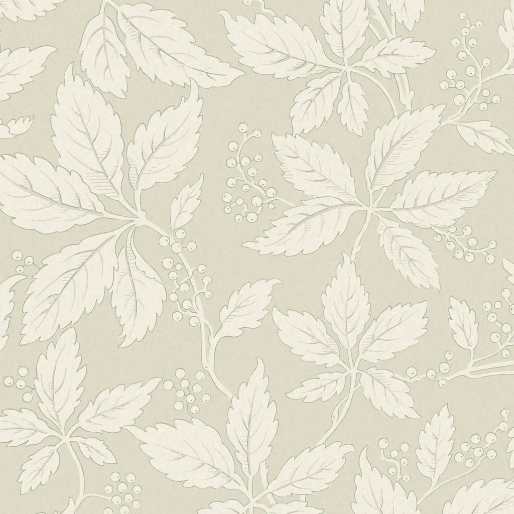 Vildvin Wallpaper - Leaf