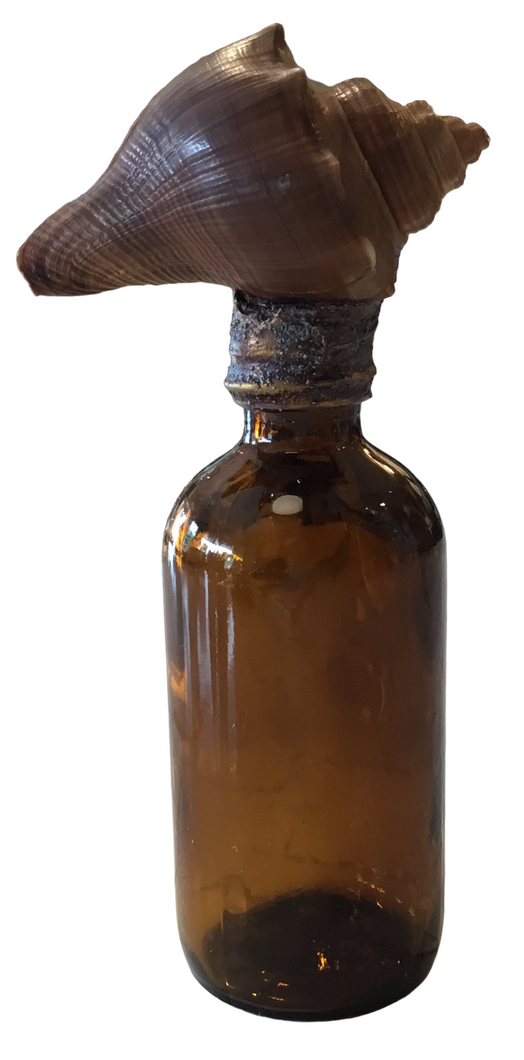 antique apothecary jar with shell top
