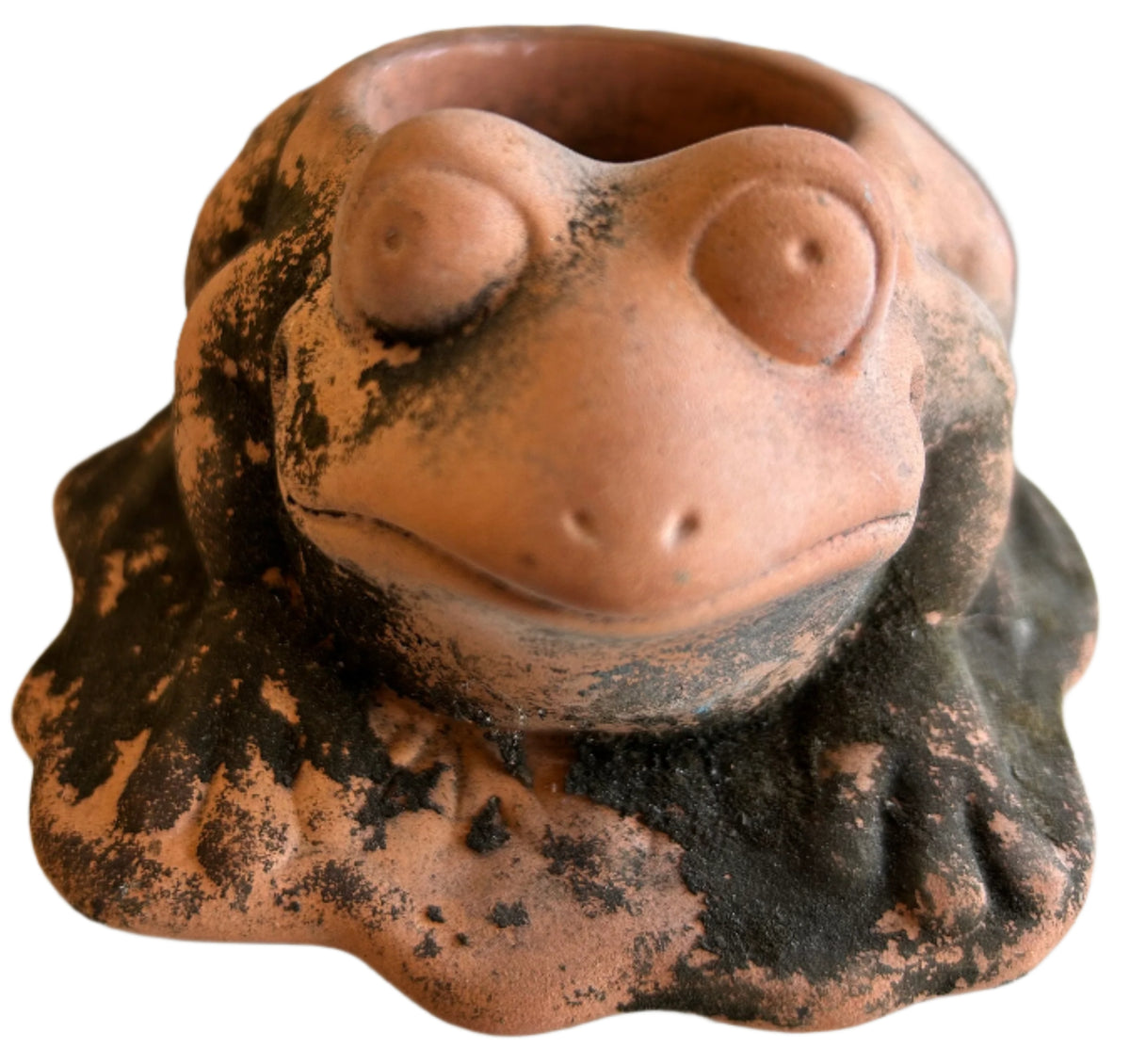 terracotta frog votive holder