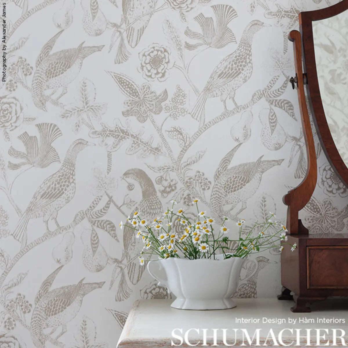 Katmandu Wallpaper in an interior setting