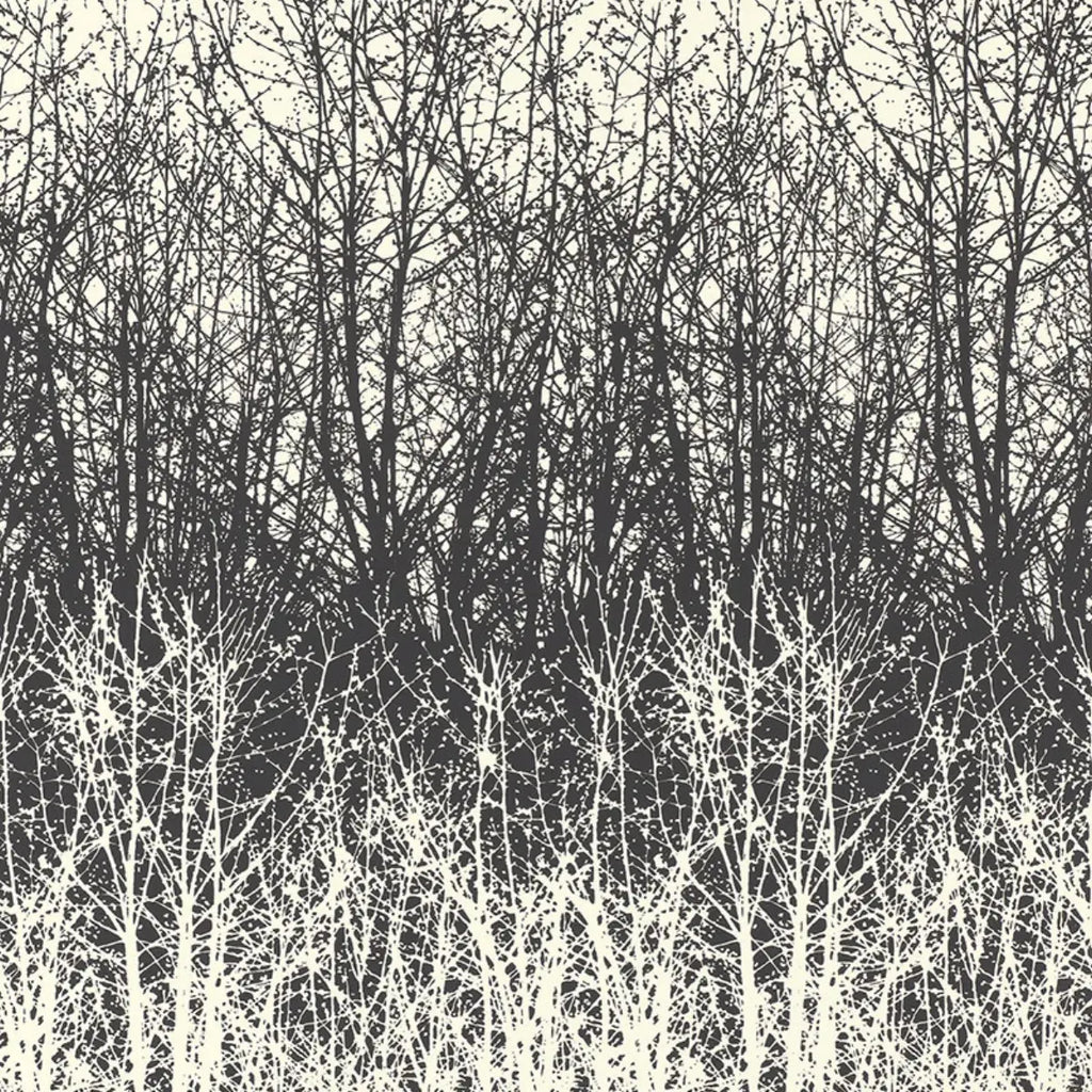 Birches Wallpaper