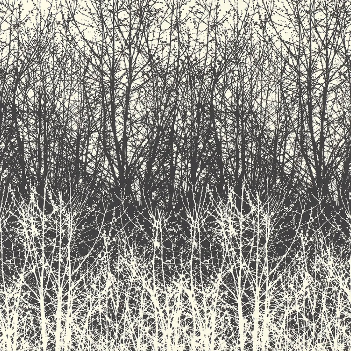 Birches Wallpaper