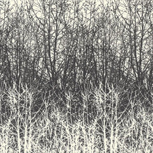 Load image into Gallery viewer, Birches Wallpaper
