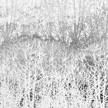 Load image into Gallery viewer, Birches Wallpaper - Silver
