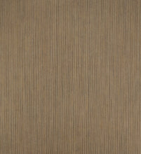 Load image into Gallery viewer, Stripe