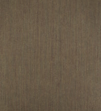 Load image into Gallery viewer, Stripe