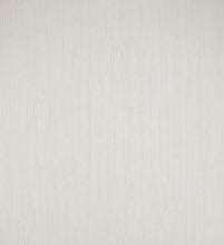 Load image into Gallery viewer, Stripe