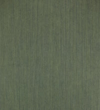 Load image into Gallery viewer, Stripe