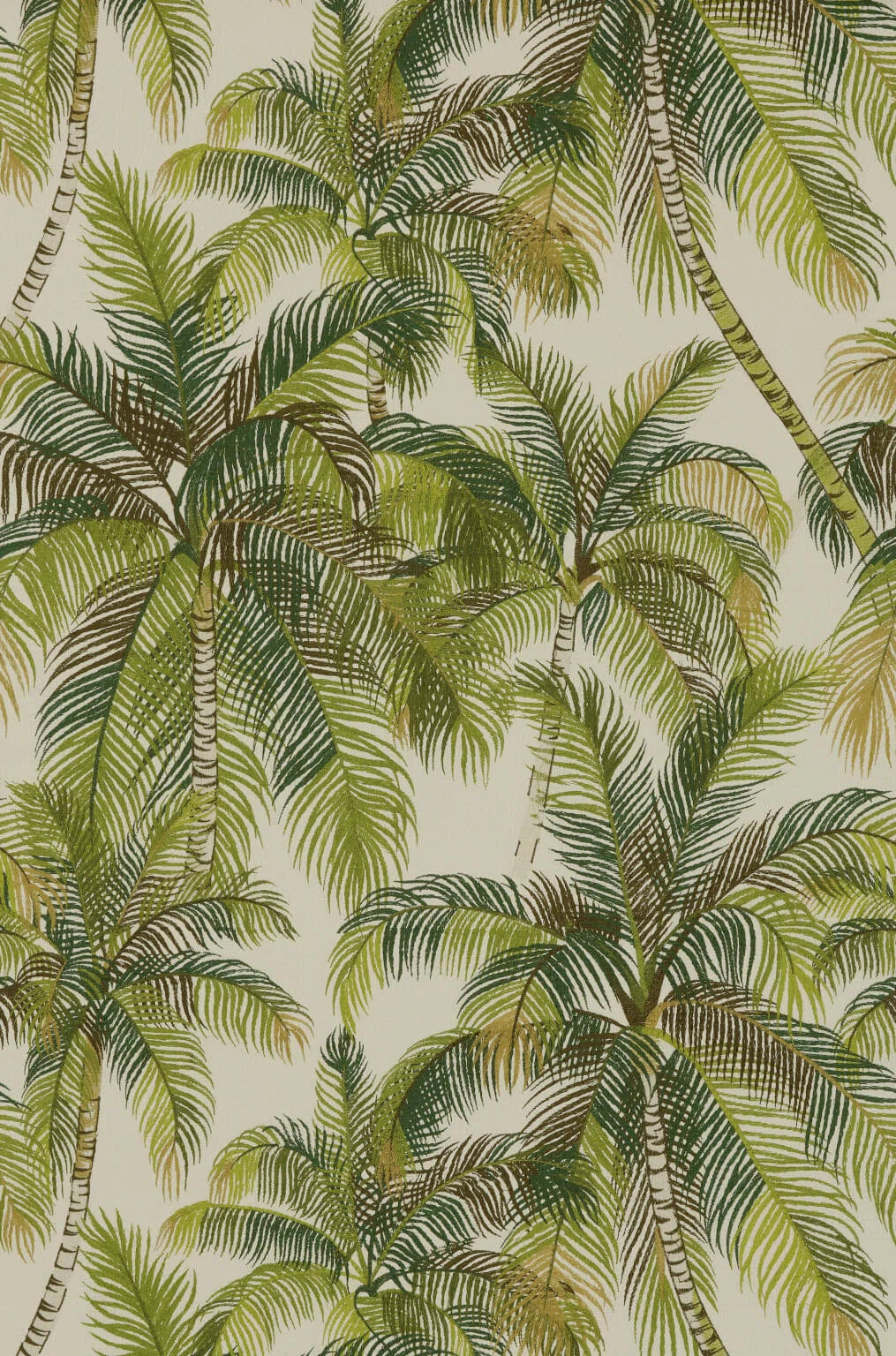 Tampa wallpaper in Palmeraie