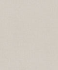 Plain Texture