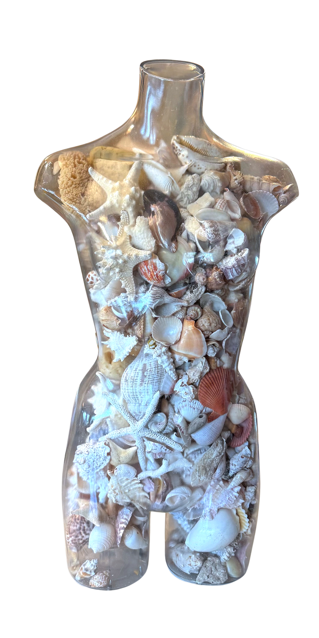 shell mannequin
