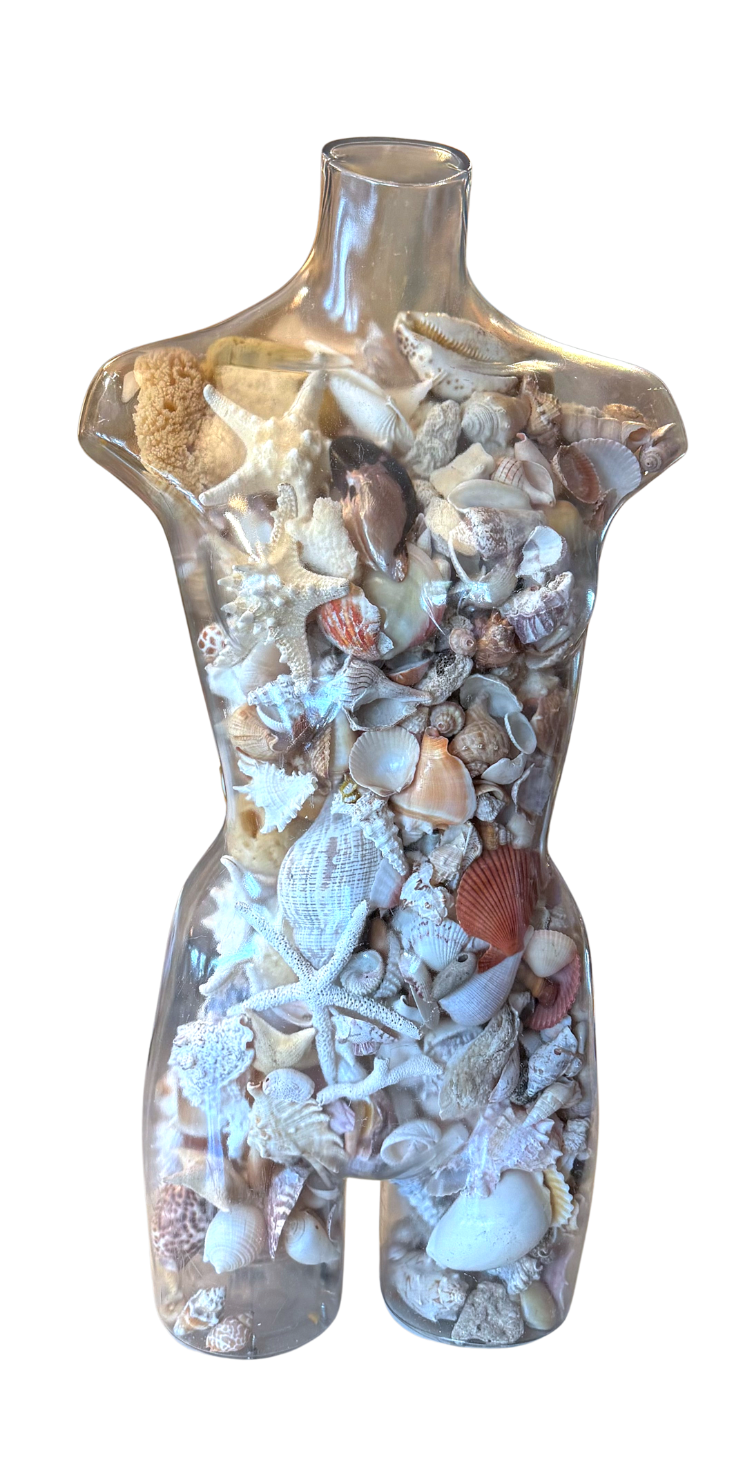 shell mannequin