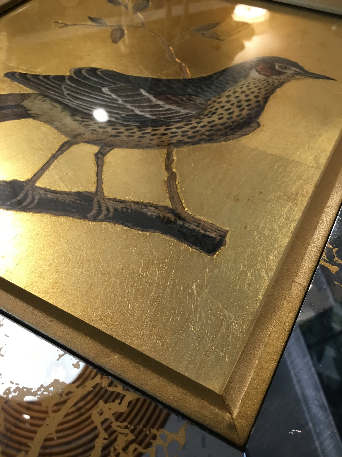 set of early 20th century bird print with gold leaf -