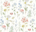 Bergamot Wildflower