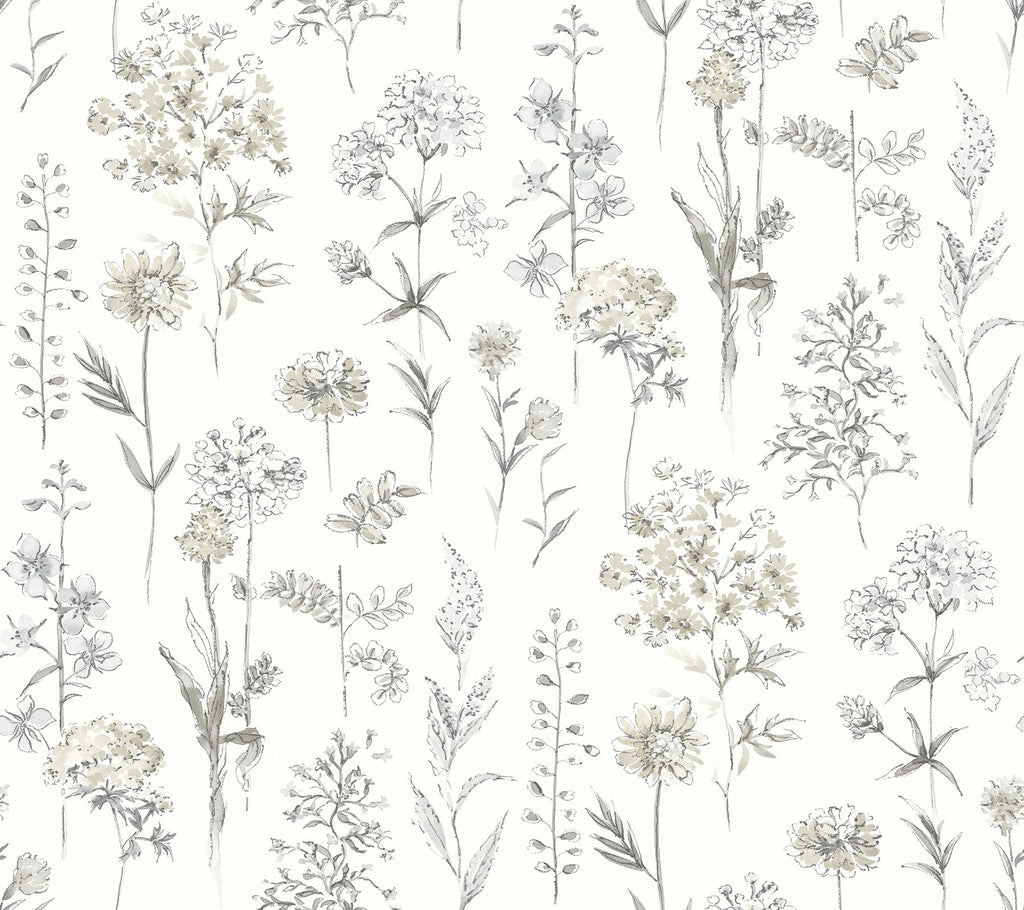 Bergamot Wildflower