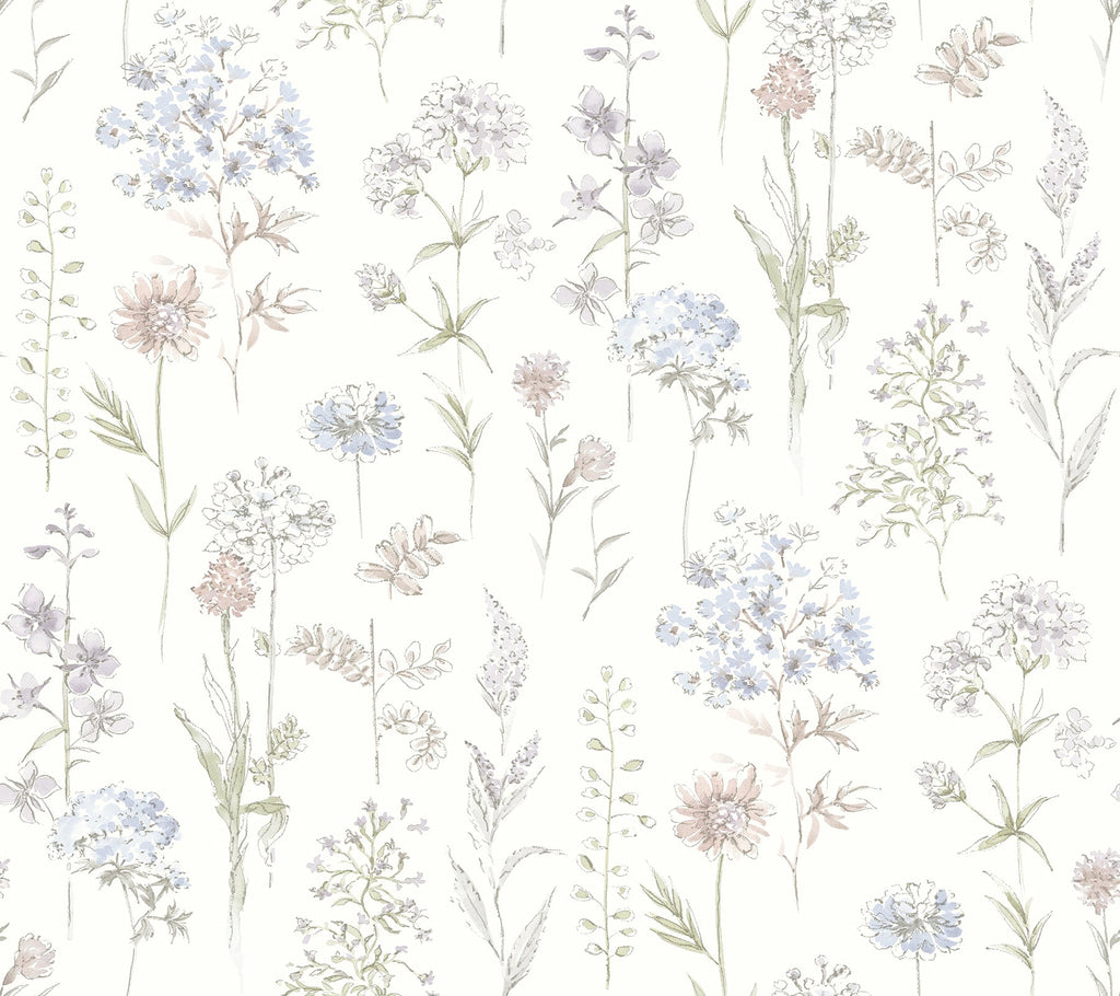 Bergamot Wildflower