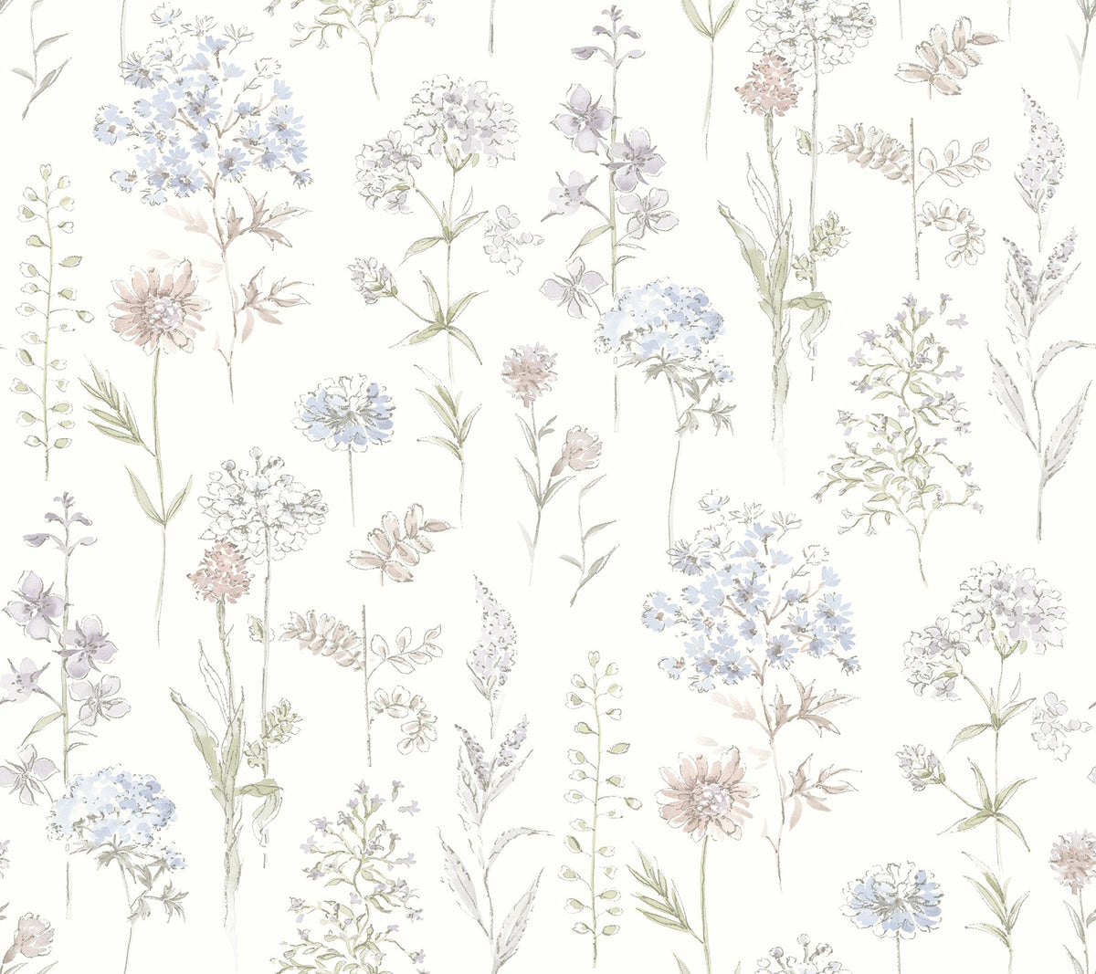 Bergamot Wildflower