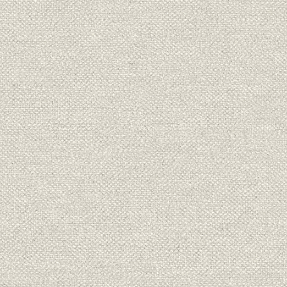 Chambray Fabric Weave